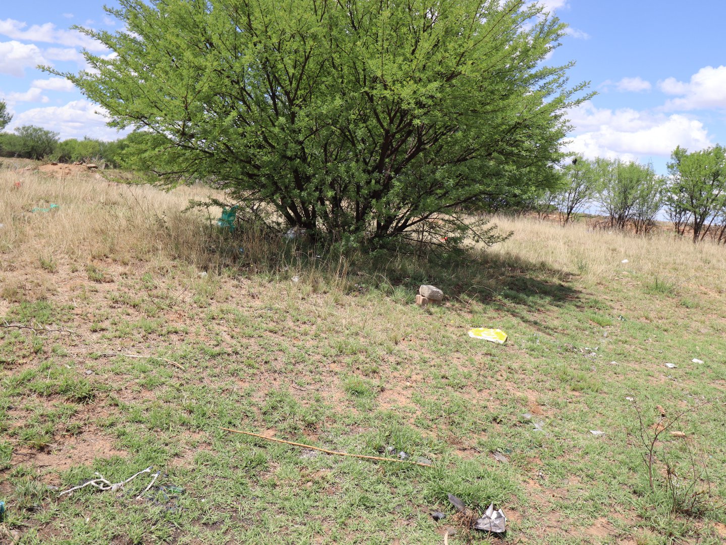  Bedroom Property for Sale in Raceway Free State